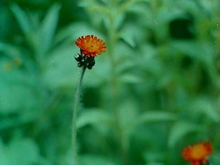 �R�E�����^���|�|